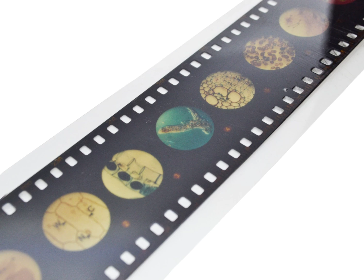 Multi-Slide Viewer Set - Includes One Slide Strip & Instructions 2 Multi-Slide Viewer Set - Includes One Slide Strip & Instructions - Image 2