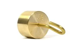 Individual Hooked Weights - Brass - 100g