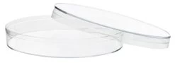 25PK Petri Dishes - 90 X 15mm - Polystyrene